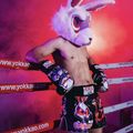Férfi edzőshort YOKKAO Angry Rabbit Muay Thai black 7