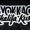 Férfi edzőshort YOKKAO Khalifa Kush Muay Thai black 4