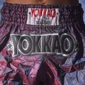 Férfi edzőshort YOKKAO Lunar Muay Thai iridescent blue grey 13