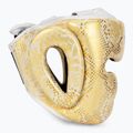 boksz fejvédő Top King Super Star white/gold 2