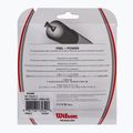 Wilson NXT Power 17 WRZ941700+ Tenisz Stretch 2