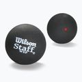 Wilson Staff Ball Red Dot squash labdák 3 db fekete.
