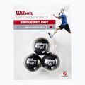 Wilson Staff Ball Red Dot squash labdák 3 db fekete. 2