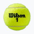 Wilson Roland Garros All Ct teniszlabda szett 3 db sárga WRT126400 2