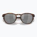 Napszemüveg Oakley Latch matte brown tortoise 5