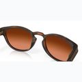 Oakley Latch matt barna teknőc/prizm barna gradiens napszemüveg 7