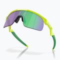 Napszemüveg dziecięce Oakley Resistor retina burn/prizm jade 5