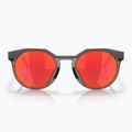 Oakley Hstn matt karbon/prizm rubin napszemüveg 6