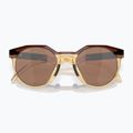 Oakley Hstn sötét borostyán / világos curry napszemüveg 10