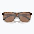 Oakley Frogskins Range barna teknőc/barna füst napszemüveg 5