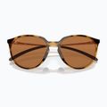 Oakley Sielo polírozott barna teknőc/prizm bronz polár napszemüveg 6