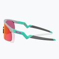Napszemüveg dziecięce Oakley Resistor matte fog/prizm field 3