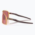 Napszemüveg Oakley Sutro matte trans light curry/prizm dark golf 5