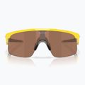 Napszemüveg dziecięce Oakley Resistor yellow/prizm tungsten 2