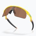 Napszemüveg dziecięce Oakley Resistor yellow/prizm tungsten 3