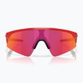 Oakley Resistor Sweep redline/prizm field gyermek napszemüveg 2