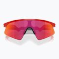 Oakley Resistor Sweep redline/prizm field gyermek napszemüveg 3
