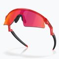 Oakley Resistor Sweep redline/prizm field gyermek napszemüveg 4