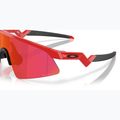 Oakley Resistor Sweep redline/prizm field gyermek napszemüveg 6