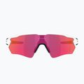 Oakley Radar EV S Path napszemüveg polírozott fehér/prizm field 2
