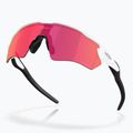 Oakley Radar EV S Path napszemüveg polírozott fehér/prizm field 4