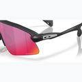 Napszemüveg Oakley Stunt Devil A matte black/prizm road 6