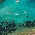 Kitesurf sárkány DUOTONE Evo SLS 2022 kék 44220-3013 2