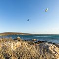 Kitesurf sárkány DUOTONE Evo SLS 2022 kék 44220-3013 7