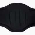 Férfi kitesurfing trapéz ION Kite Waist Axxis fekete 4