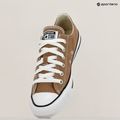 Converse Chuck Taylor All Star Classic Ox forró tea edzőcipő 9