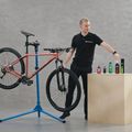 Kellys Clea 10 női cross kerékpár zöld 72319 17