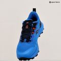 Férfi futócipő Saucony Peregrine 14 cobalt/black 11