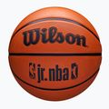 Gyermek kosárlabda Wilson NBA JR Drv Fam Logo barna méret 5