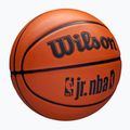 Gyermek kosárlabda Wilson NBA JR Drv Fam Logo barna méret 5 2