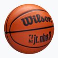 Gyermek kosárlabda Wilson NBA JR Drv Fam Logo barna 4-es méret 2