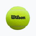 Wilson Premier padel labdák 3 db. sárga 5