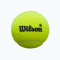Padel labdák Wilson Premier Padel Speed 3B 3 db yellow 2