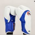 Bokszkesztyűk Twins Special BGVL6 white/blue 6