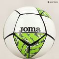 Focilabda Joma Challenge II white/green rozmiar 3 7