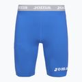 Férfi Joma Warm Fleece termál rövidnadrág királyi színű