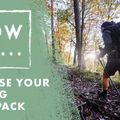 Salomon XT 10 l túra hátizsák fehér és fekete LC1764400 8
