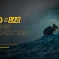 DUOTONE kitesurfing sárkány Neo D/Lab 2023 szürke 44230-3024 6