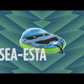 JOBE Sea-esta vontatható 3P kék 230320010 12