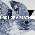 Női snowboard CAPiTA Birds Of A Feather 1221107 12