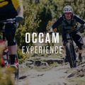 Orbea Occam H10 2023 sötétzöld/lime zöld hegyikerékpár 3