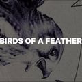 Női CAPiTA Snowboard Birds Of A Feather Fehér 1211119 13