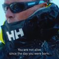 Helly Hansen Aegir Race férfi vitorlás kabát piros 33869_222 6