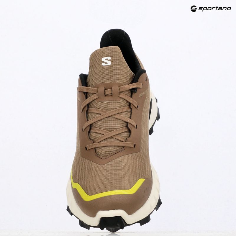Férfi futócipő Salomon Alphacross 5 caribou/canteen/ sulphr 18
