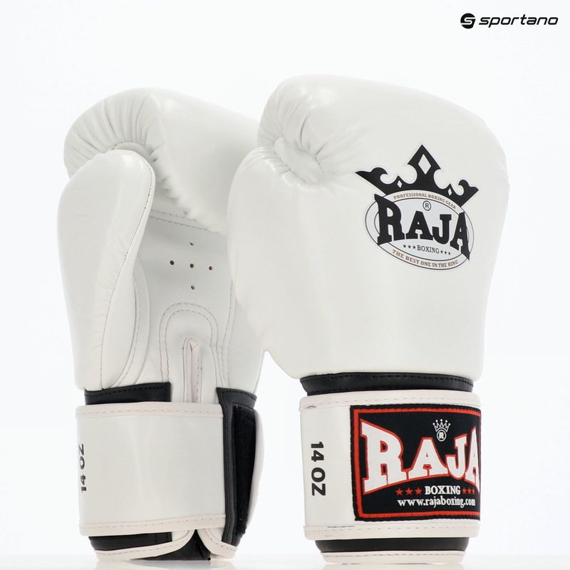 RAJA BOXING Single Semi Leather fehér bokszkesztyű 8