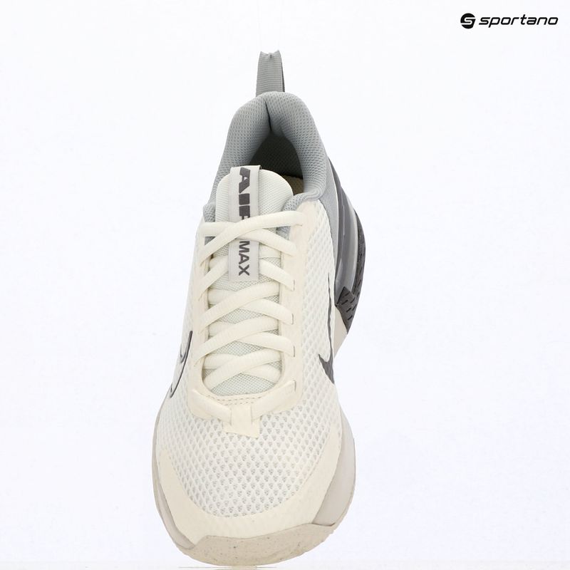 Férfi edzőcipők Nike Air Max Alpha Trainer 6 sail/light smoke grey/phantom/pencil point 5